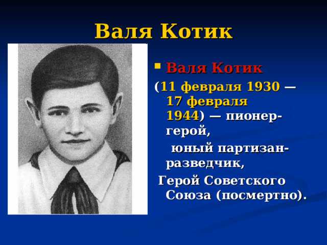 Валя котик