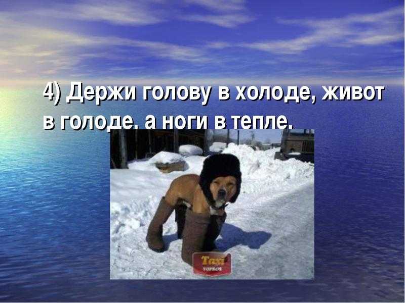 Шапки ушанки когда можно носить