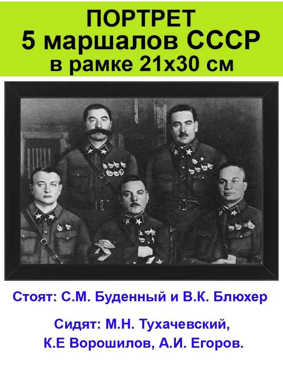 Климент ворошилов: друг сталина и «дубоватый» офицер