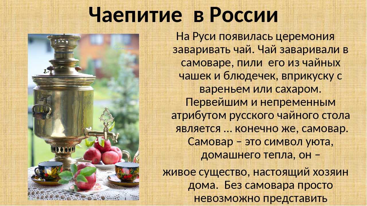 Как и когда русские начали пить чай: история появления чая на руси. особенности традиций русского чаепития